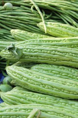 Bitter melon gourd for cooking in market