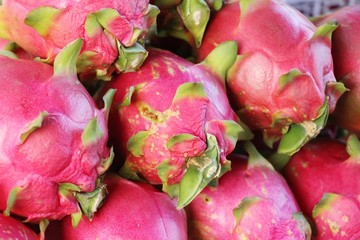 Fresh dragon fruit organic in the market