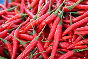 Fresh chilli for cooking at street food