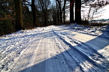 Winter