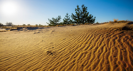 beautiful summer sandy desert at the sunset