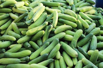 Fresh cucumbers for cooking in the market