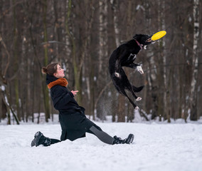 beautiful young girl playing frisbee in the snow with a black dog