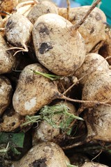 cassava or yam bean in the market