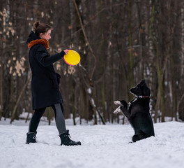 Fototapeta na wymiar beautiful young girl playing frisbee in the snow with a black dog