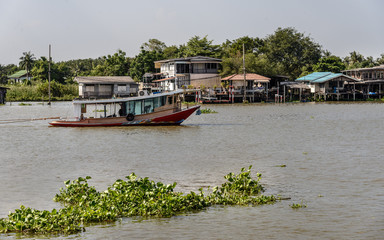 Obraz premium Casas y templos budistas en la orilla del rio Chao Phraya, navegando hacia Bangkok, Tailandia