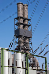 Power plant, distribution of electricity for various transmission networks