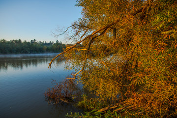 Obraz premium Sunrise by the river