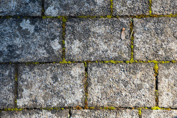 old stone footpath background