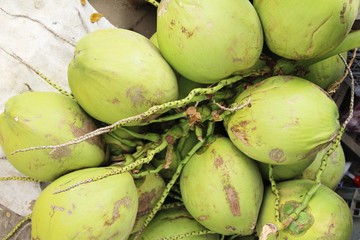 Coconut fruit is delicious at street food