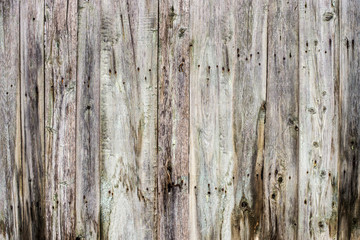 Texture old wooden wall