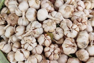 Garlic head for cooking at street food