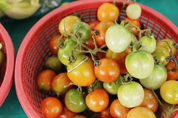 Fresh tomatoes for cooking in street food