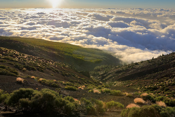 Waldlandschaft und Bergwelt in Abendstimmung über den Wolken