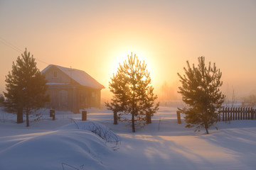 Cold morning in Siberia 