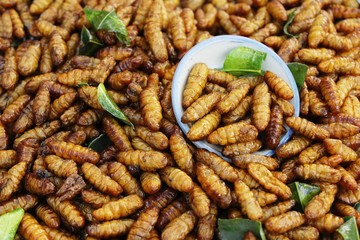 Fried silk worms delicious in street food