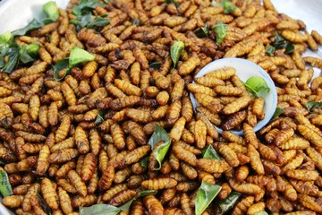 Fried silk worms delicious in street food