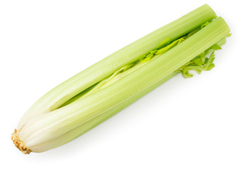 Celery stalk on a white. The form of the top.