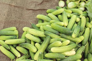 Fresh cucumbers for cooking in the market