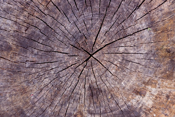 old wood texture