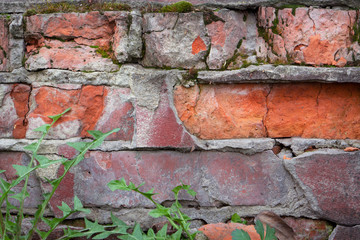 old brick wall