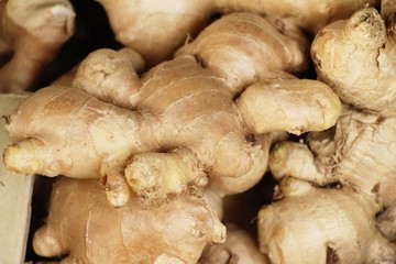 Ginger root for cooking in the market..