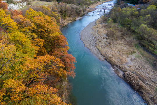 Autumn Leaves and Chikuma River