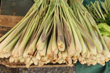 Fresh lemon grass for cooking in market