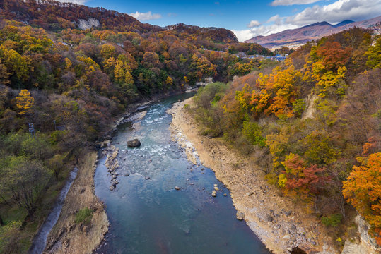 Autumn Leaves and Chikuma River