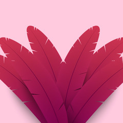 Colorful feathers on pink background. Abstract composition.