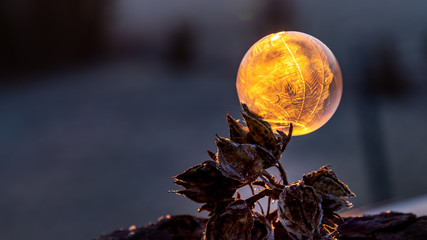 Gefrorene Seifenblase im Sonnenaufgang