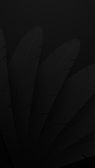 Black feather background. Abstract bird feathers composition.
