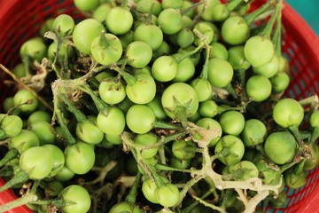 Fresh eggplant green organic is a bunch