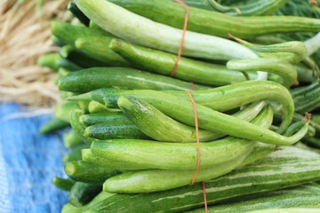 Fresh cucumbers for cooking in the market