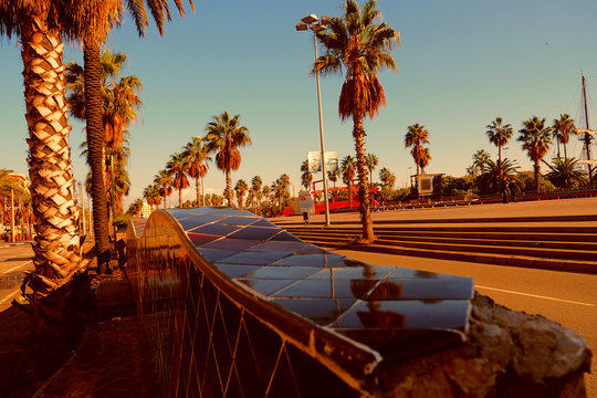 Autumn in Barcelona