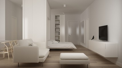 Fototapeta na wymiar Small apartment with parquet floor, Murphy bed and white sofa in contemporary living room, one-room apartment in minimalist style, modern interior design architecture concept