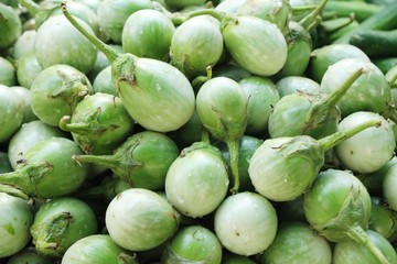 Fresh eggplant green organic at street food