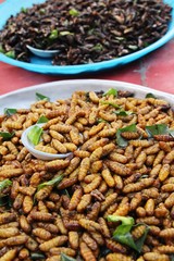 Fried silk worms delicious in street food