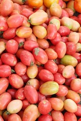 Fresh tomatoes for cooking in street food