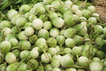 Fresh eggplant green organic at street food