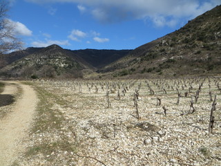 large field in the winter in a mountain landscape