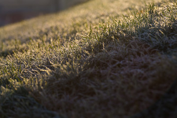 Autumn leaf in the grass covered with hoarfrost