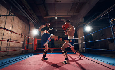 Two young men fighters exercising kickboxing in the ring at the health club
