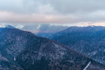 Winter landscape