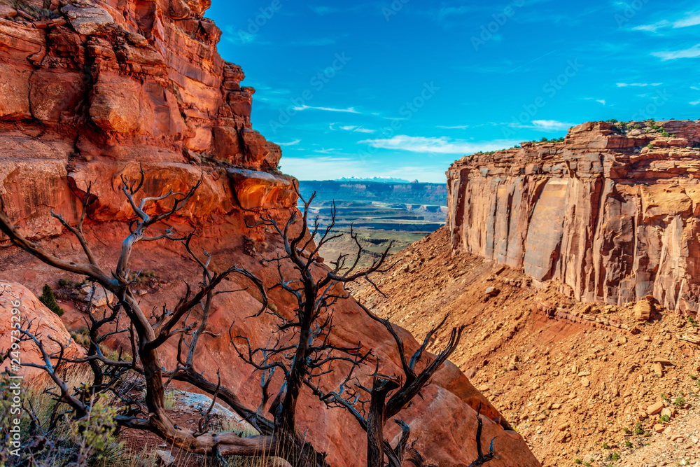 Wall mural canyonlands park 