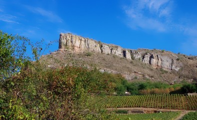 Fototapeta premium panorama éloigné de la Roche de Solutré et ses vignes derrière un buisson