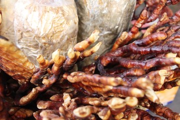Lingzhi mushroom or Ganoderma lucidum with nature