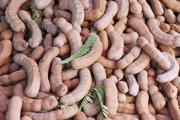 Tamarind fruit is delicious at street food