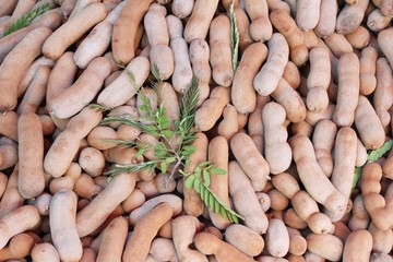 Tamarind fruit is delicious at street food