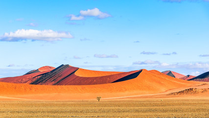 Plakat Düne Sossusvlei Namibia